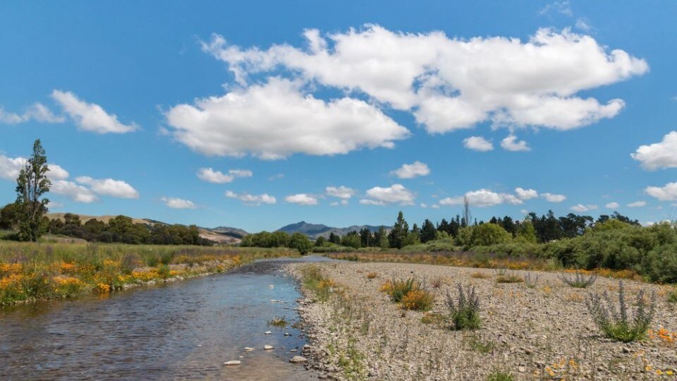 6Day Road Trip Itinerary Christchurch to Nelson Drive Enterprise